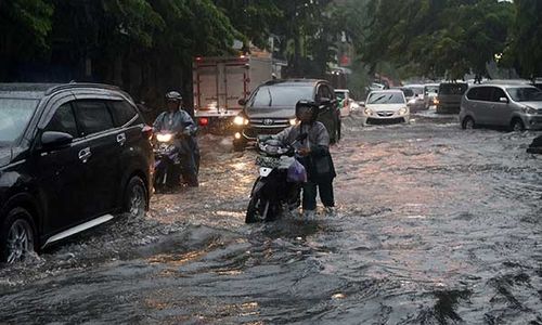 Solo Kembali Diguyur Hujan Deras, Sejumlah Pohon Tumbang dan Jalan Tergenang