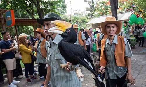 Karnaval Satwa Meriahkan HUT ke-70 Gembira Loka Zoo Yogyakarta