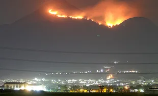 Kebakaran Landa Gunung Penanggungan Mojokerto, Luas Terbakar Capai 45 Hektare