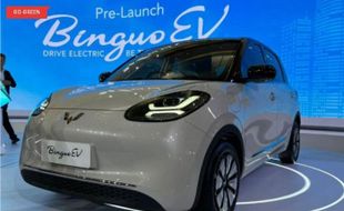 Harga dan Spesifikasi Wuling Binguo EV