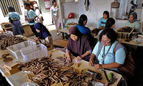 Wisata Sejarah Pabrik Cerutu Rizona di Temanggung, Berusia 1 Abad Lebih