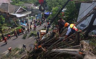 Petugas Gabungan Gotong Royong Bersihkan Sisa Pohon Tumbang di Solo