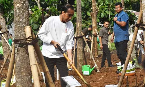 Jokowi Pimpin Gerakan Tanam Pohon di Pulogadung, Upaya Atasi Polusi Jakarta