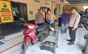 Tepergok Curi Burung Murai di Ceper Klaten, Warga Pedan Digebuki Massa