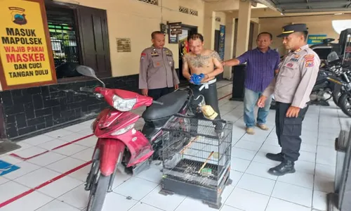 Tepergok Curi Burung Murai di Ceper Klaten, Warga Pedan Digebuki Massa