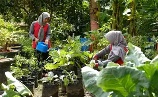 Program "Bumi Kartini" Semen Gresik Sukses Bantu Warga Hasilkan Jutaan Rupiah