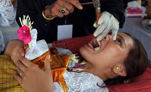 Potret Ritual Metatah, Upacara Potong Gigi Masyarakat Hindu di Bali