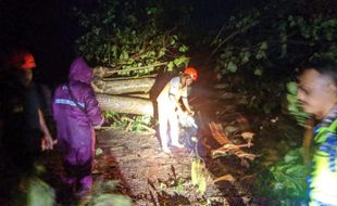 Angin Kencang di Sragen Robohkan Pohon dan Rusak Bangunan Ponpes dan Padepokan