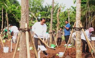 Dihadiri Presiden Jokowi, Astra Dukung Gerakan Tanam Pohon Bersama di DKI