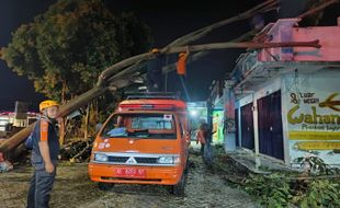 Angin Kencang Terjang 4 Kecamatan di Magetan, Puluhan Pohon Roboh & Rumah Rusak