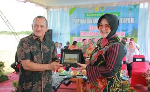 Aman! Meski Ada El Nino, Produksi Beras Klaten Masih Surplus 87.969 Ton