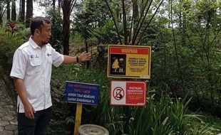 Sepekan Pasca-Ambrolnya Jembatan Kaca, Hutan Pinus Limpakuwus Kembali Dibuka