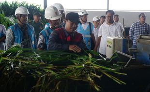 Dukung Peternakan, PLN Beri Kemudahan melalui Program Electrifying Agriculture