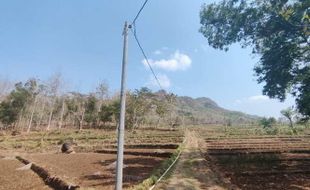 Musim Hujan Lebih Pendek, KTNA Wonogiri Dorong Petani Tanam Hortikultura