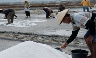 Lukisan Garam Raksasa Hasil Kolaborasi Petani Garam Rembang dan Seniman