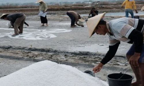 Lukisan Garam Raksasa Hasil Kolaborasi Petani Garam Rembang dan Seniman