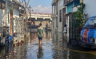 Musim Hujan Segera Tiba, Sheet Pile di Tambak Lorok Semarang Baru Capai 49%