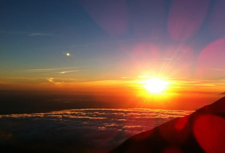 Melacak Jejak Satwa Langka Pascakebakaran Hutan Gunung Merbabu