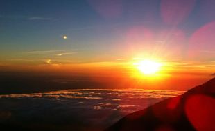 Melacak Jejak Satwa Langka Pascakebakaran Hutan Gunung Merbabu