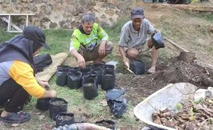 Fakultas Pertanian dan Bisnis UKSW Latih Petani Kimpul di Desa Cukilan Semarang