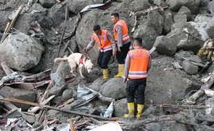 Pencarian Korban Banjir & Longsor di Humbahas Sumut, Anjing Pelacak Dikerahkan