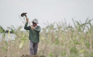 BPDAS Bengawan Solo Rehabilitasi 180 Ha Lahan, Warga Kebanjiran Manfaat