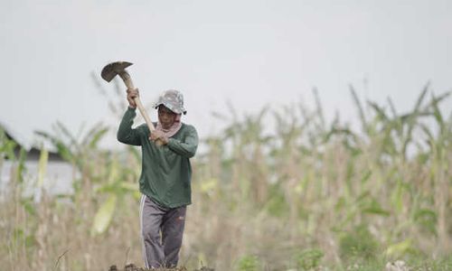 BPDAS Bengawan Solo Rehabilitasi 180 Ha Lahan, Warga Kebanjiran Manfaat