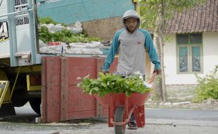 Kebun Bibit Rakyat BPDAS Solo Berhasil Angkat Ekonomi Kelompok Tani