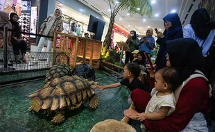 Pameran Kebun Binatang di Mal, Meriahkan 70 Tahun Gembira Loka Zoo Yogyakarta