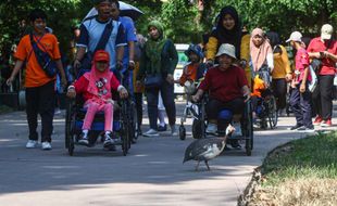 Seru! Pemkot Solo Ajak Healing Ratusan Pelajar Difabel ke Solo Safari