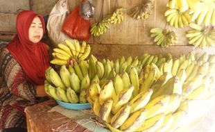 Petani Wonogiri Kurang Tertarik Budi Daya Pisang, padahal Peluangnya Besar