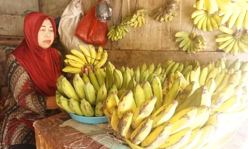 Petani Wonogiri Kurang Tertarik Budi Daya Pisang, padahal Peluangnya Besar