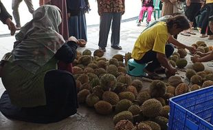 Ide Liburan Akhir Tahun, Mencicipi Legit Manis Durian Gempolan Karanganyar 