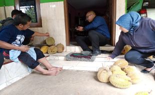 Jadi Buruan Warga, Durian Lokal di Semarang Punya Rasa Khas & Harganya Murah