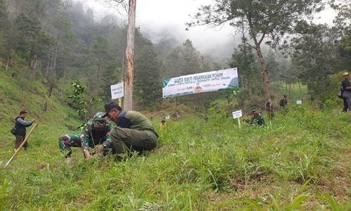 Kodim Boyolali Tanam Ratusan Pohon di Lereng Merbabu, Ada Beringin hingga Pule