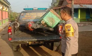 Apes! Maling Ayam, Sepeda Motor Malah Ditinggal