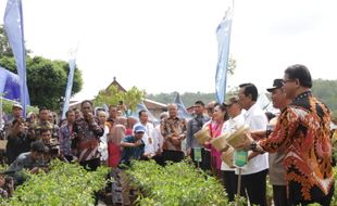 Gandeng UGM, PLN Dukung Pengembangan Kampung Madu di Kedungpoh DIY