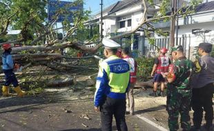 Tragis, 2 Orang Meninggal karena Tertimpa Pohon saat Melintas di Jalanan Malang