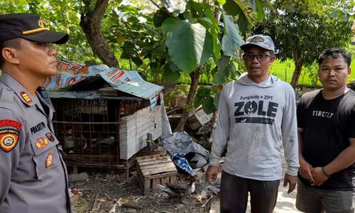 Warga Gemolong Sragen Resah terkait Dugaan Penjagalan Anjing di Wilayahnya