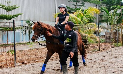 Pertama di Soloraya, Loa Living Hotel Hadirkan Pengalaman Menginap dan Berkuda