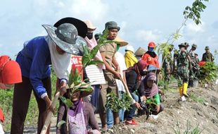 Cegah Jebol, Tanggul Anak Sungai Dengkeng Klaten Ditanami Ratusan Pohon