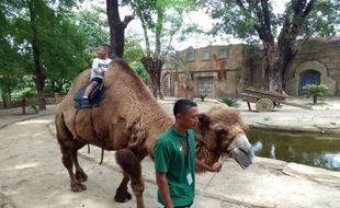 Periode Libur Nataru, Solo Safari Tawarkan Pengalaman Liburan Berkesan