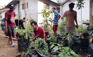 Masuk Daerah Kering, 7 Kecamatan di Boyolali Disarankan Terapkan Urban Farming