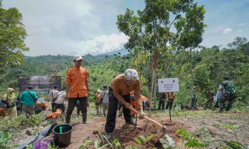 Kementerian LHK Gelar Tanam Pohon Serentak, Tanam 2.000 Bibit di Lahan 10 Ha