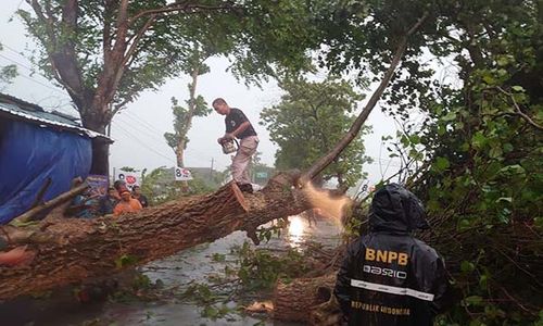 Cuaca Ekstrem, Pohon Tumbang dan Banjir Landa Ngemplak Boyolali