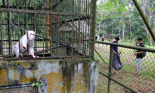 Ratusan Relawan dan Influencer Gelar Aksi Bersih-bersih Medan Zoo