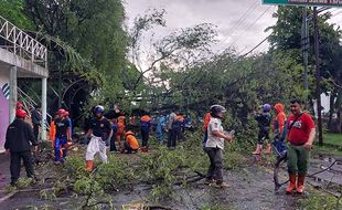 10 Berita Terpopuler : Lokasi Pohon Ambruk di Solo-Underpass Makamhaji Banjir