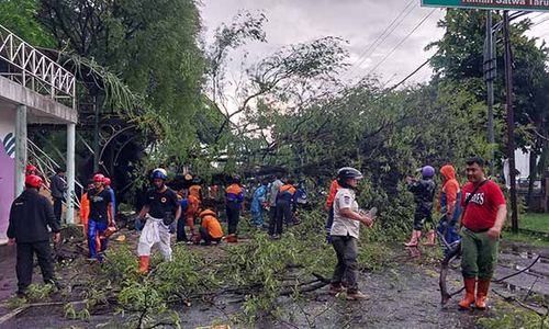 10 Berita Terpopuler : Lokasi Pohon Ambruk di Solo-Underpass Makamhaji Banjir