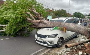 Angin Kencang Sapu Karanganyar, Ada Mobil Tertimpa Pohon di Jumantono 