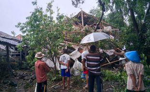 Pohon Tumbang Timpa Dapur dan Kandang Ayam Warga Karangpandan Karanganyar